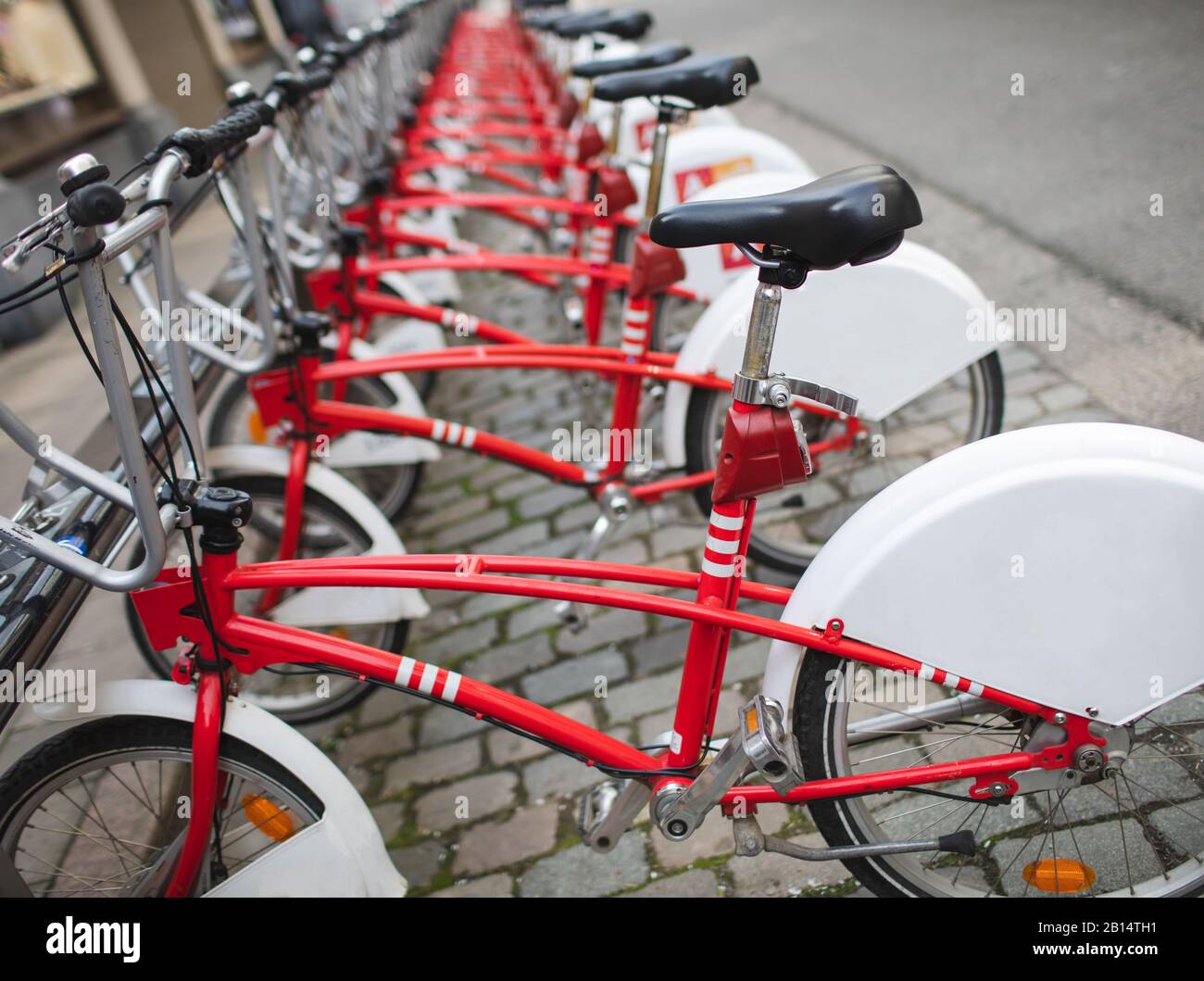 Viele Fahrrad in Folge. Rote Fahrräder stehen auf einem Mietparkplatz. Umweltfreundliches Transportkonzept. Stockfoto