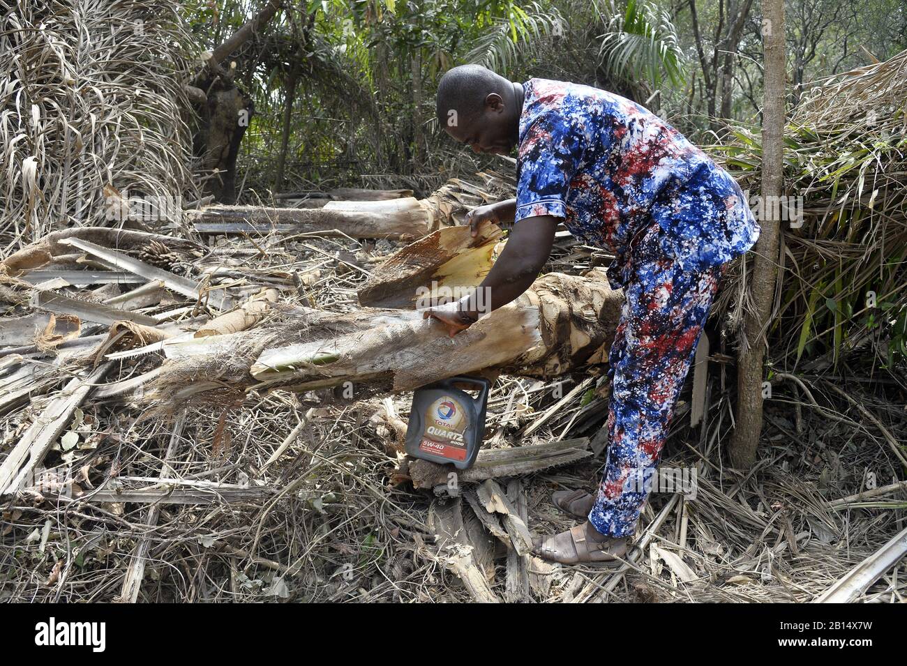 Palm Wine Collect - Togo - Westafrika Stockfoto