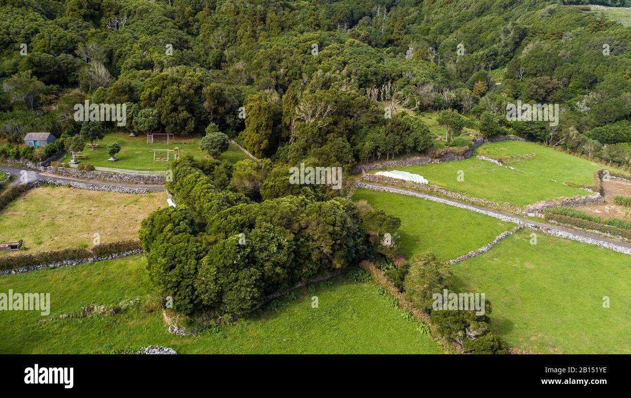 Luftaufnahme von Fojo und Picknickplatz, Azoren, Corvo Stockfoto