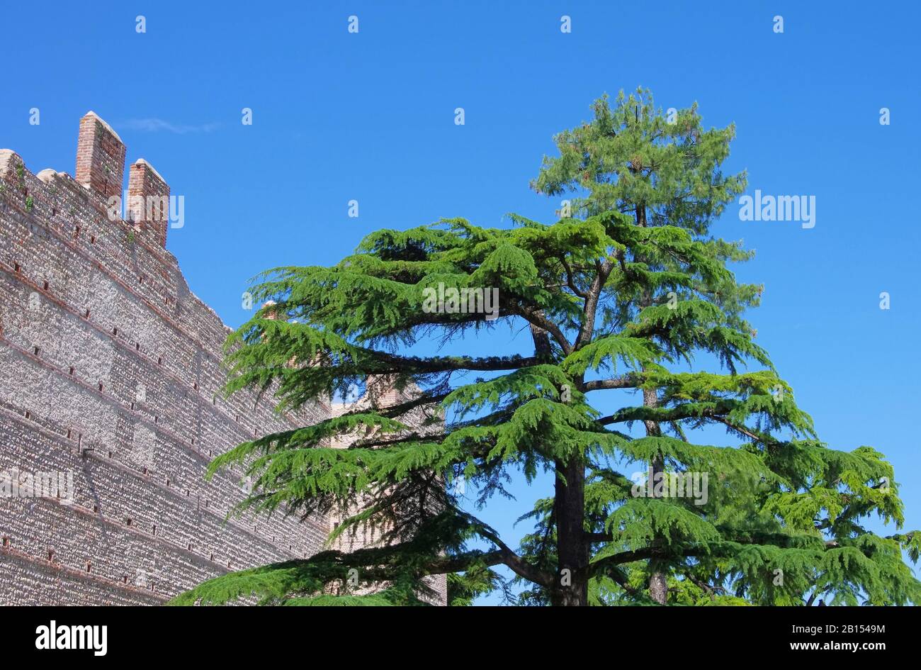 Villafranca di Verona Castello 04 Stockfoto