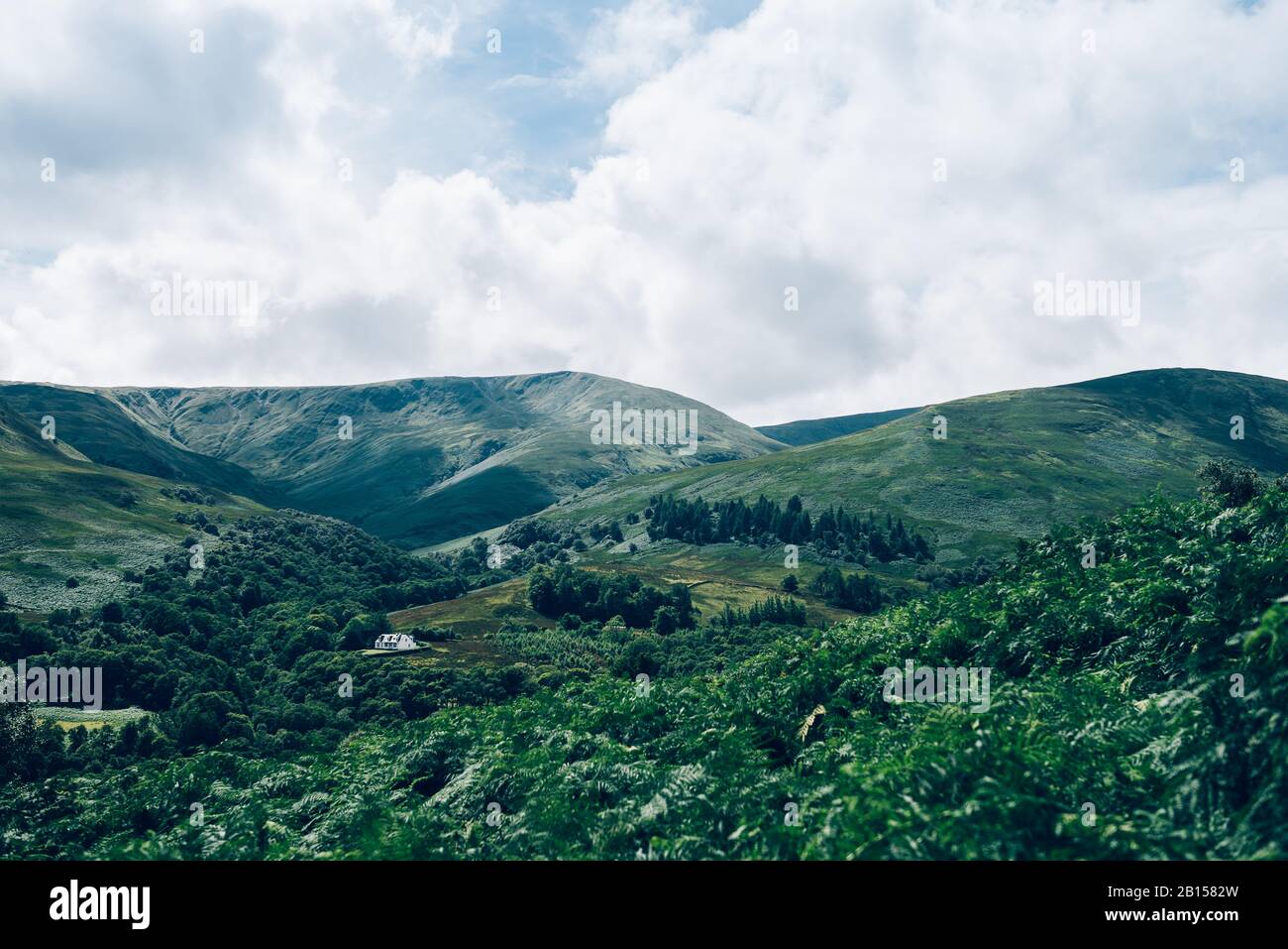 Die Glen Striddle Hills liegen auf der Westseite des Sees Loch Lomond und bieten eine schöne Wanderung vom Dorf Luss zum höchsten Punkt, Beinn Dhub, auf 657 m. Stockfoto