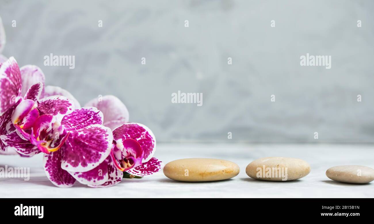 Spa Stillleben mit Orchideenblume und Massagesteinen Stockfoto