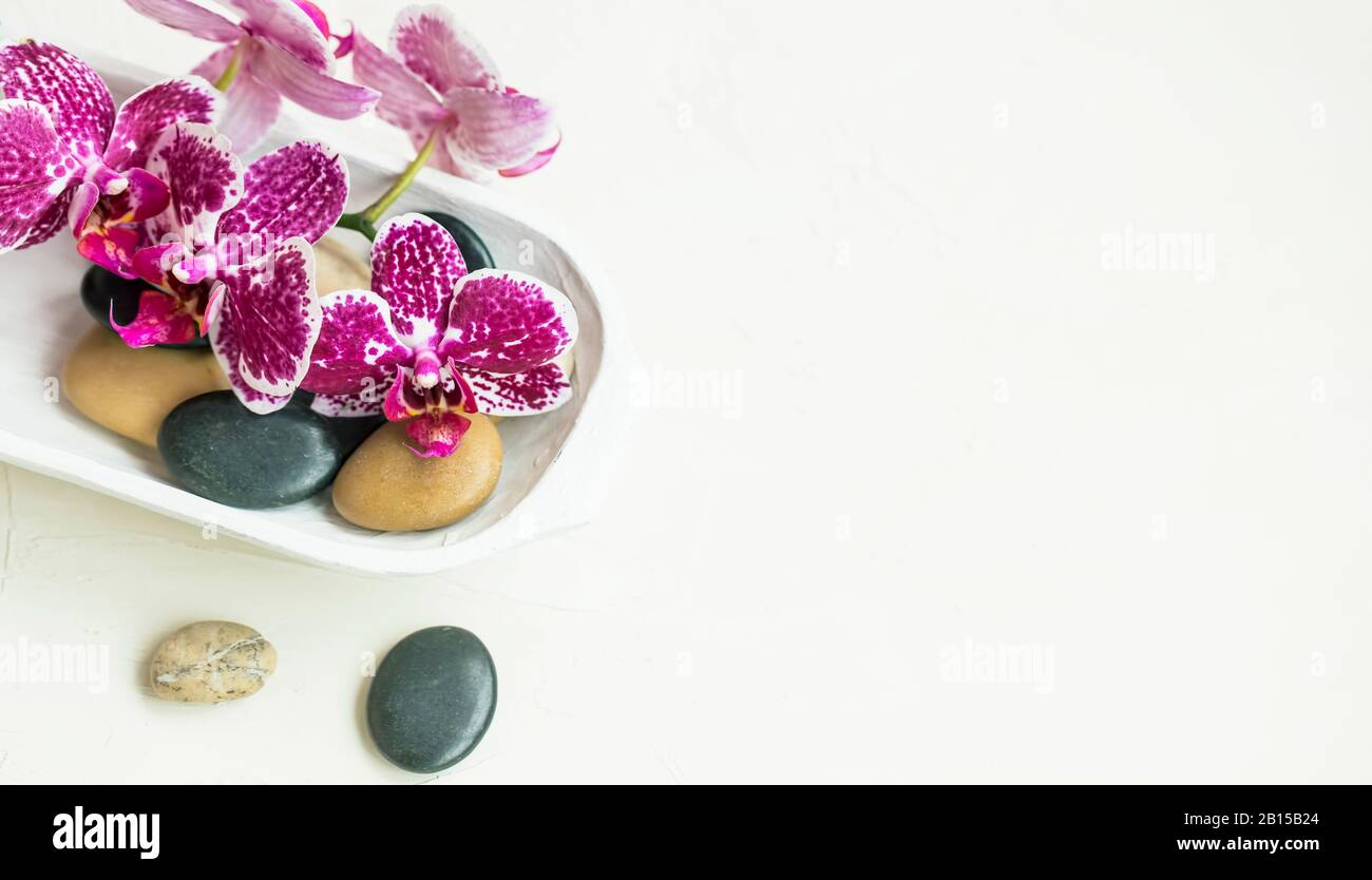 Spa Stillleben mit Orchideenblume und Massagesteinen Stockfoto