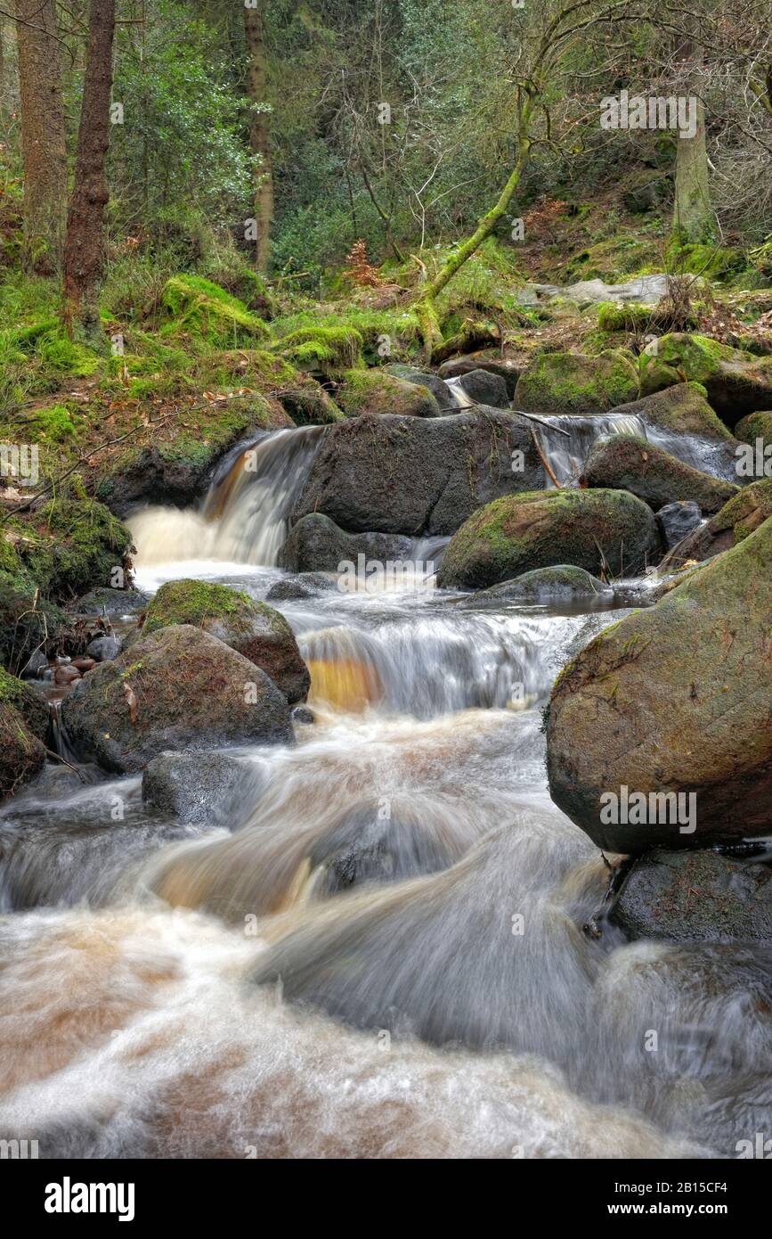 Wyming Brook, Naturreservat, Wasserfallkaskaden, Peak District, Sheffield, England, Großbritannien Stockfoto