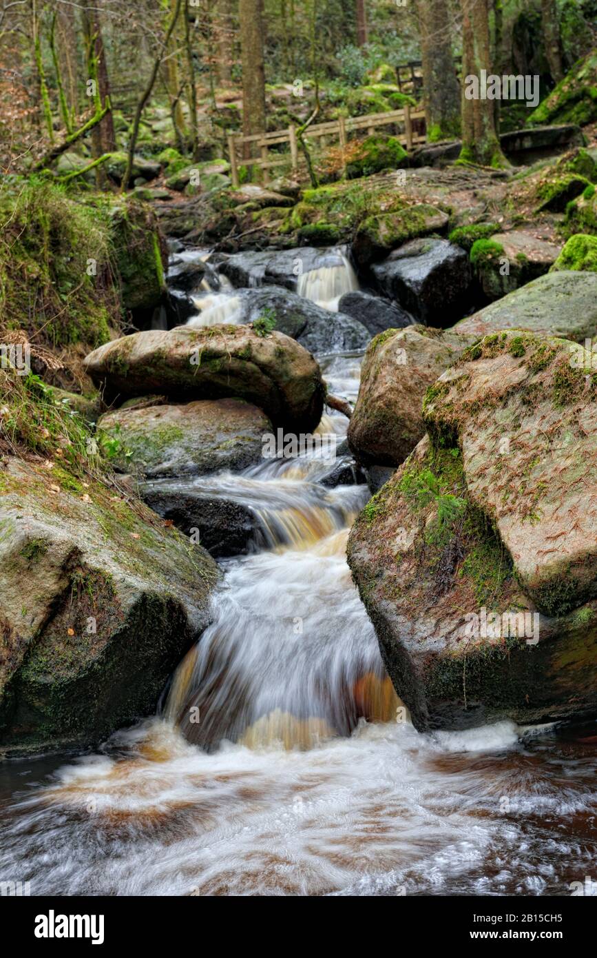 Wyming Brook, Naturreservat, Wasserfallkaskaden, Peak District, Sheffield, England, Großbritannien Stockfoto