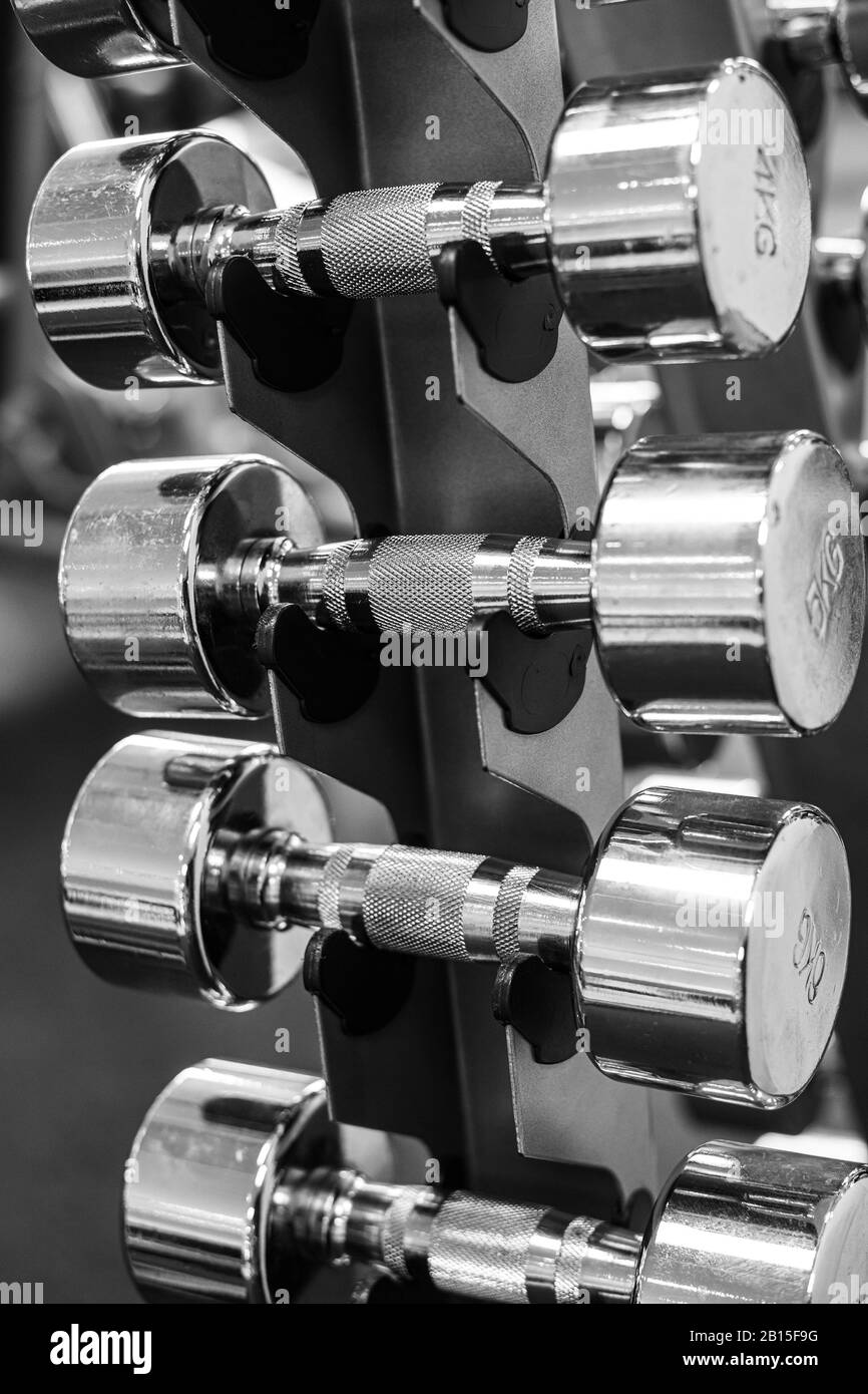 Set von verschiedenen Gewichts Kurzhanteln in der Turnhalle Stockfoto