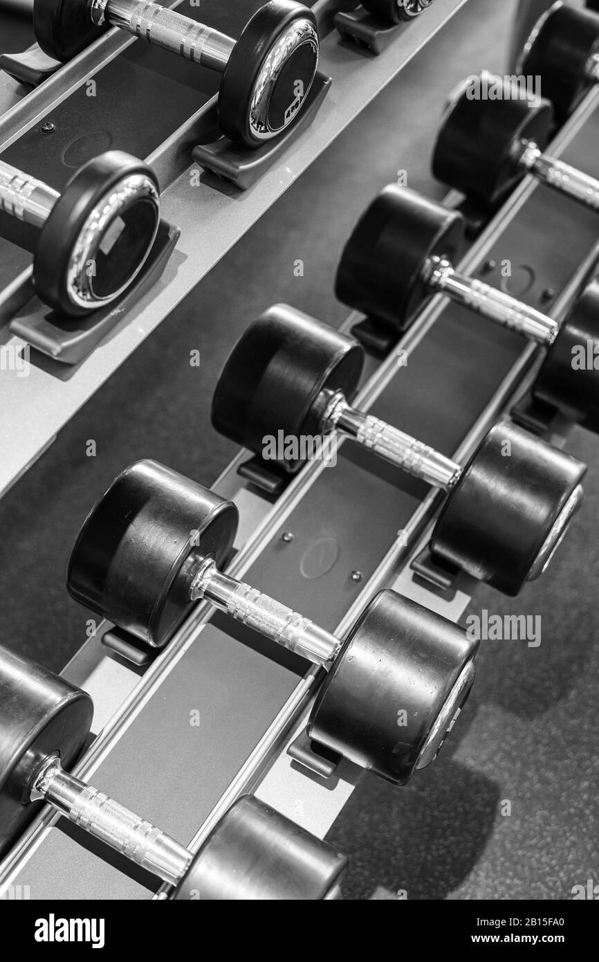 Set von verschiedenen Gewichts Kurzhanteln in der Turnhalle Stockfoto