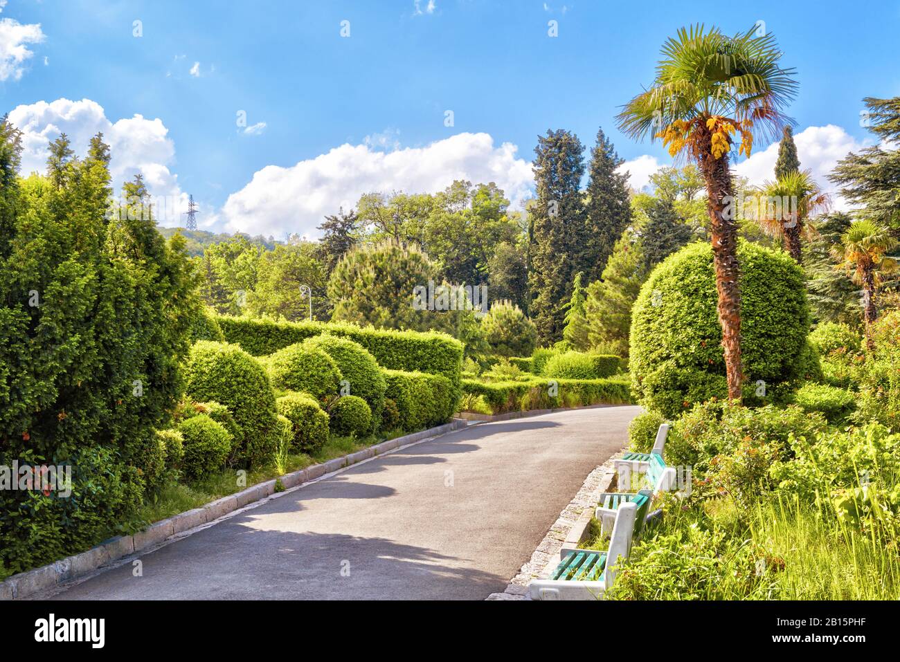 Livadia, Krim - 17. Mai 2016: Schöner Park im berühmten Livadia Palast auf der Krim, Russland. Schöne, sonnige Aussicht auf einen Landschaftsgarten auf der Krim Stockfoto