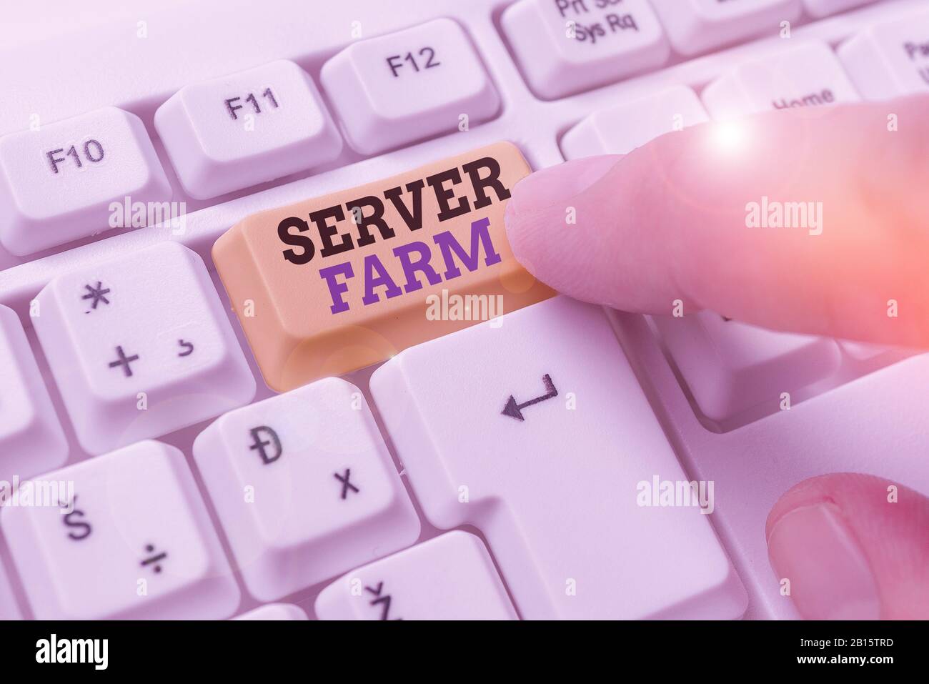 Wort schreiben Text Serverfarm. Business Foto präsentiert eine Gruppe von Computern, die als Server fungieren und gemeinsam untergebracht Stockfoto