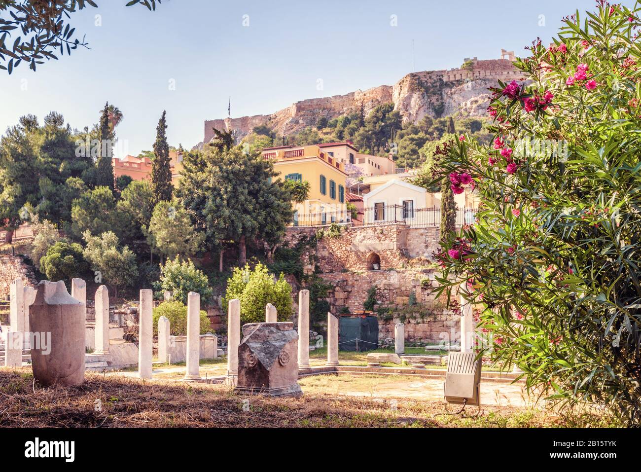 Schöne Blumen auf der römischen Agora im Sommer, Athen, Griechenland. Dieser Ort ist eines der wichtigsten Wahrzeichen Athens. Akropolis in der Ferne. SCENIC V Stockfoto