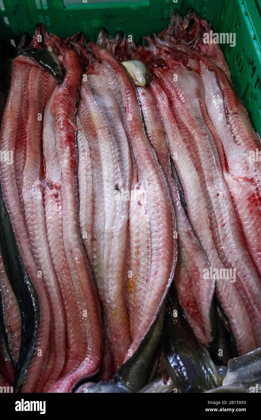 Italien Emilia Romagna Comacchio - Festival Eel Stockfoto