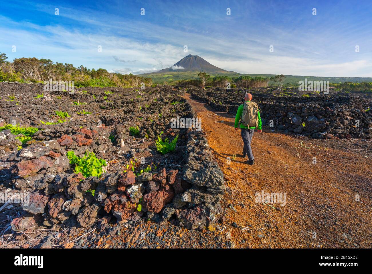 Frauen wandern in Weinbergen, Cais do Mourato, Pico Island, Azoren, Portugal, Westeuropa Stockfoto