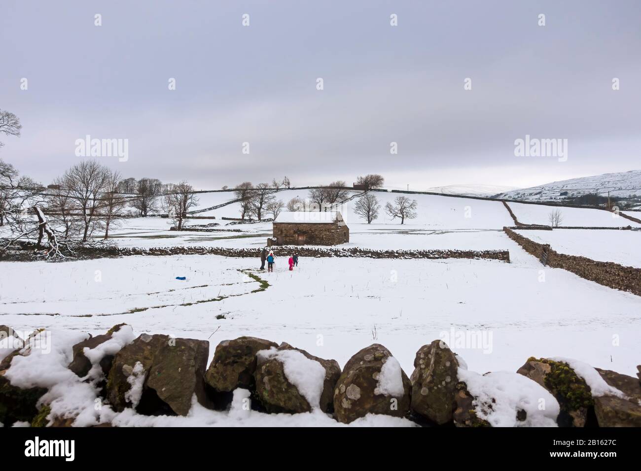 Schneetag in Wensleydale, Yorkshire Dales Stockfoto