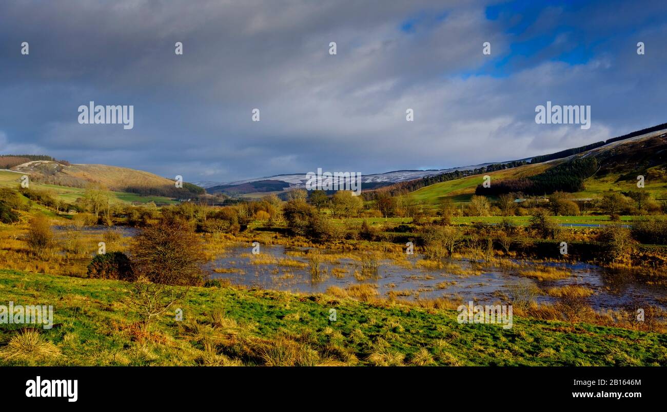 Der Fluss Tweed in Flut nach dem Sturm Dennis. Schottische Grenzen. Stockfoto