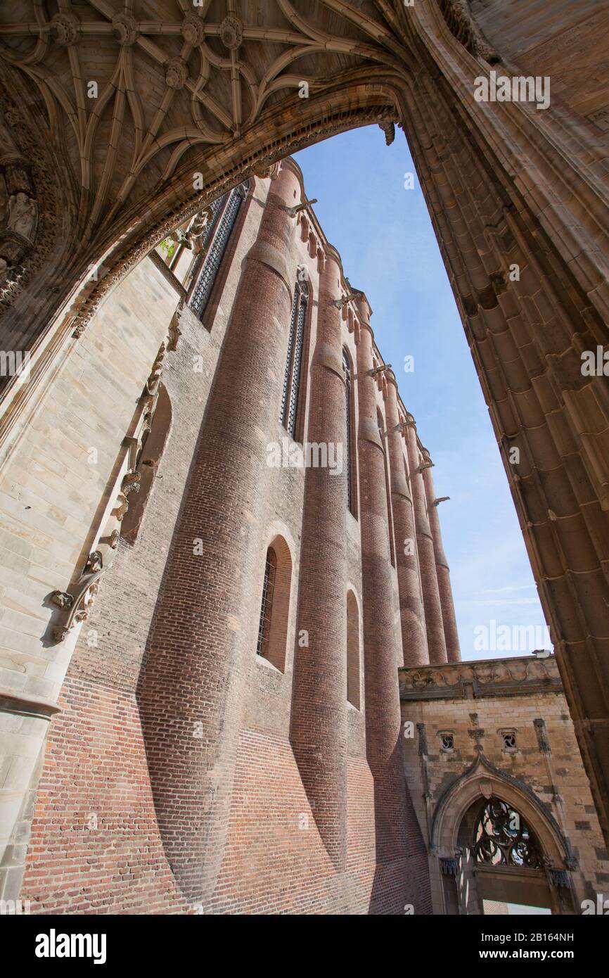 Kathedrale von Saint Cecile, Albi, Tarn, Region MIDI Pyrenäen, Frankreich, Europa Stockfoto