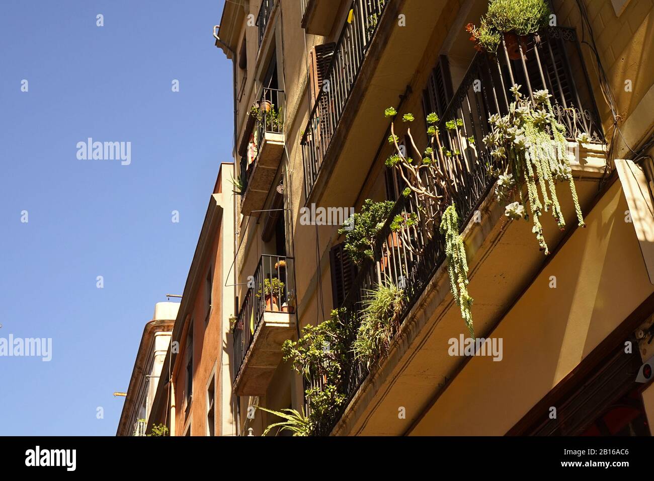 Eine Nahaufnahme von spanischen Apartments mit Pflanzen, die von einem Balkon aus hingen Stockfoto