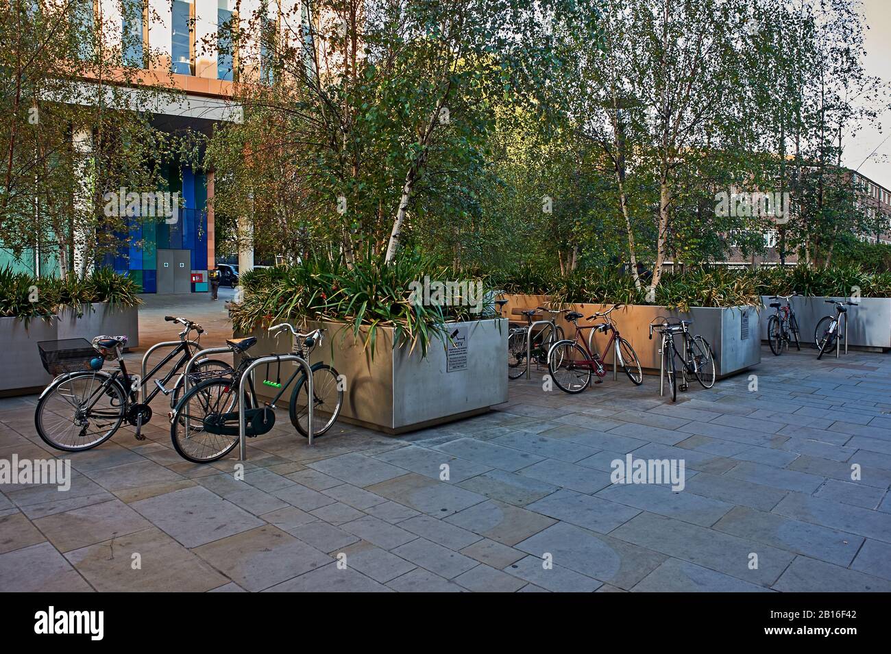 London, Fahrradparkplätze in Pflanzmaschinen außerhalb eines Büroblocks in der Nähe des Bahnhofs St Pancras Stockfoto