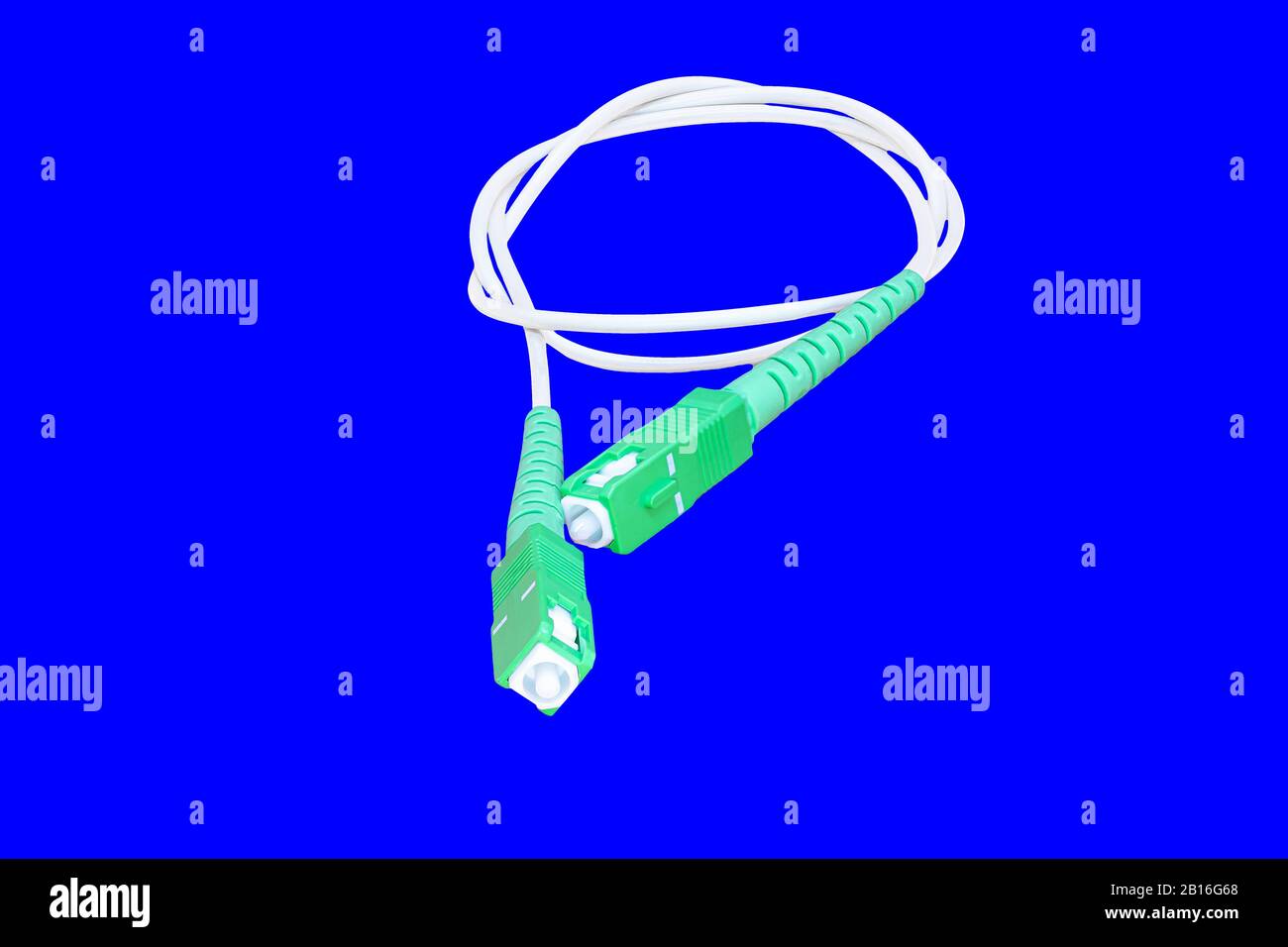 Glasfaseranschluss isoliert auf blauem Chroma-Hintergrund Stockfoto