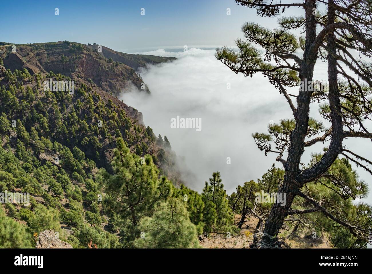 Mirador de Las Playas liegt im Kiefernwald auf der Insel El Hierro. Ansichten vom Punkt über den Wolken spezialisieren. Kanarische Inseln, Spanien Stockfoto