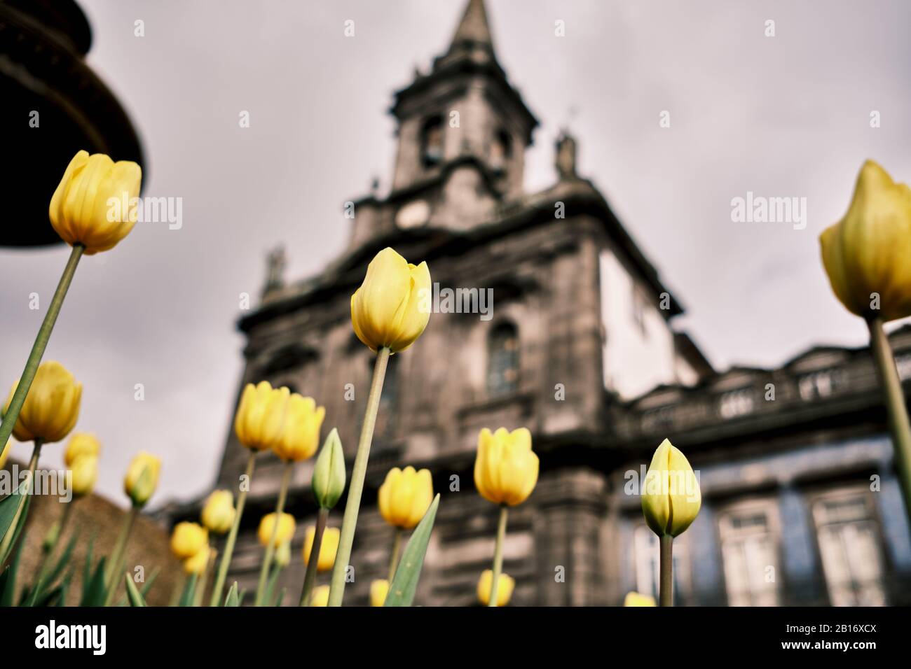 Der Garten und im Hintergrund die Santíssima Trindade Kirche Stockfoto
