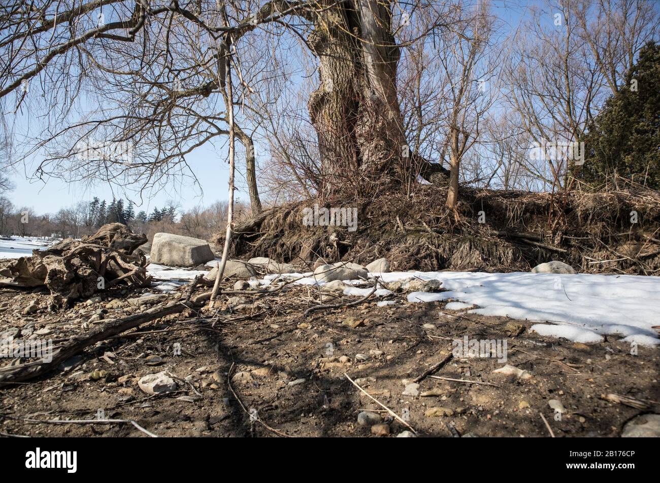 Beschädigte und erodierte Flussufer am Avon River in Stratford, Ontario. Stockfoto