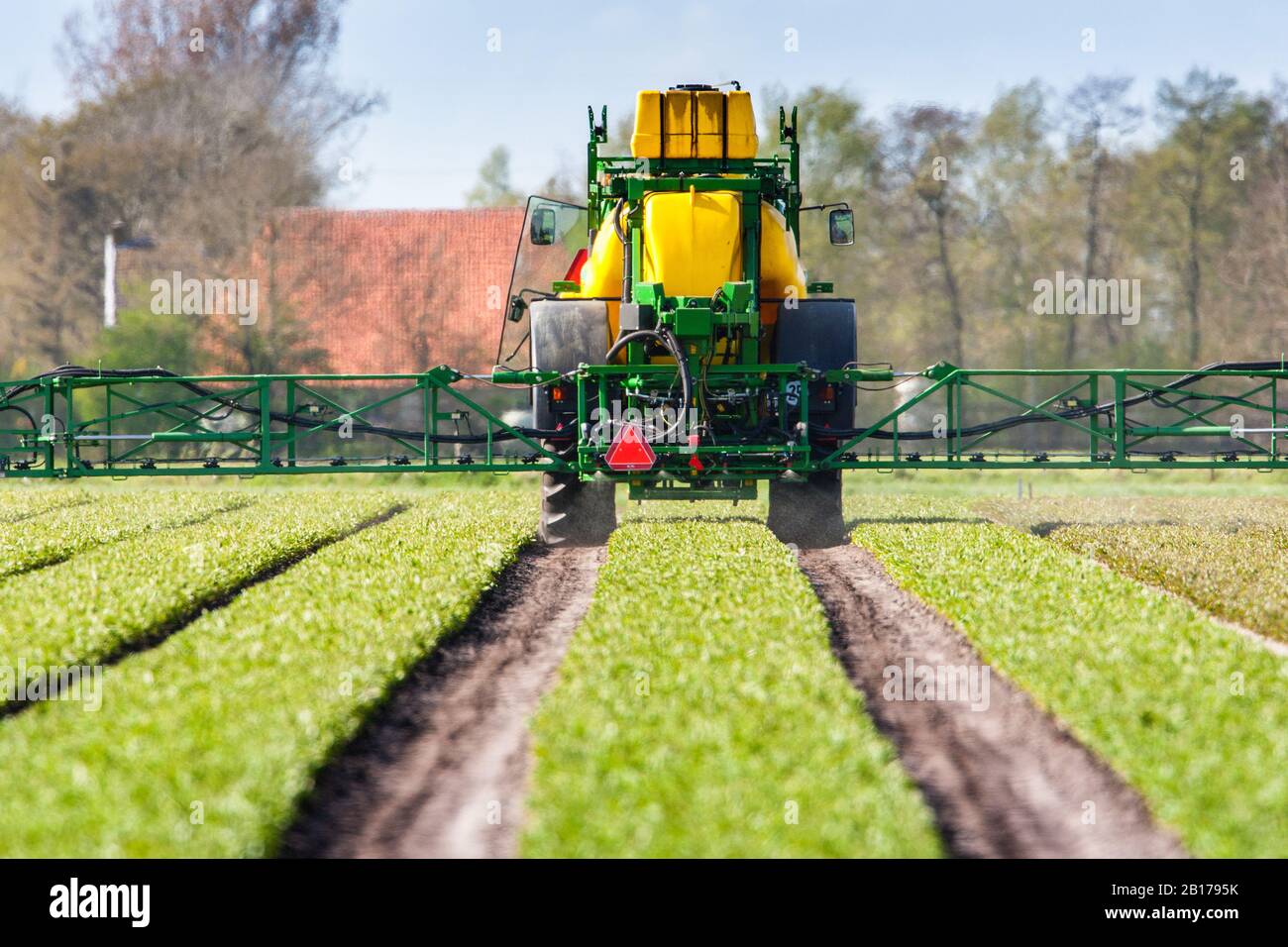 Giftspritzen in Nöten des Lilienanbaus, Niederlande, Frisia Stockfoto