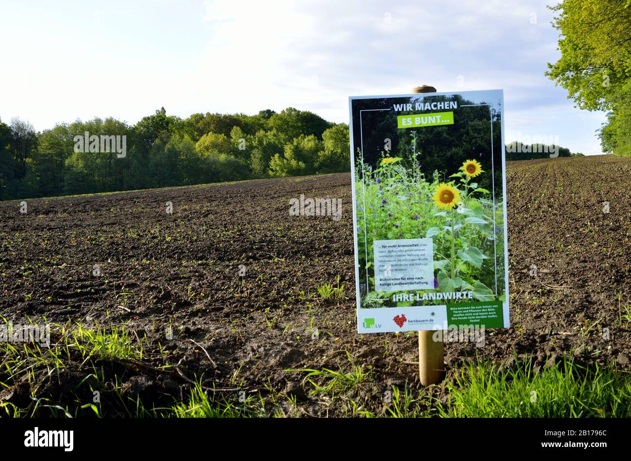 Infosign über Blumenstreifen am Rande eines Morgens, Deutschland, Nordrhein-Westfalen Stockfoto