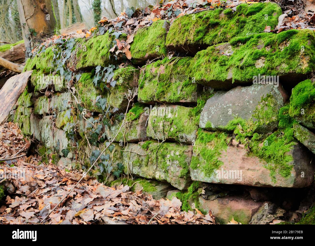 Alte Steinmauer, die in einem Winter-Kalktag im vorderen, vorderen, vorderen, vorderen, vorderen, vorderen, vorderen, vorderen, vorderen, vorderen, vorderen und Stockfoto