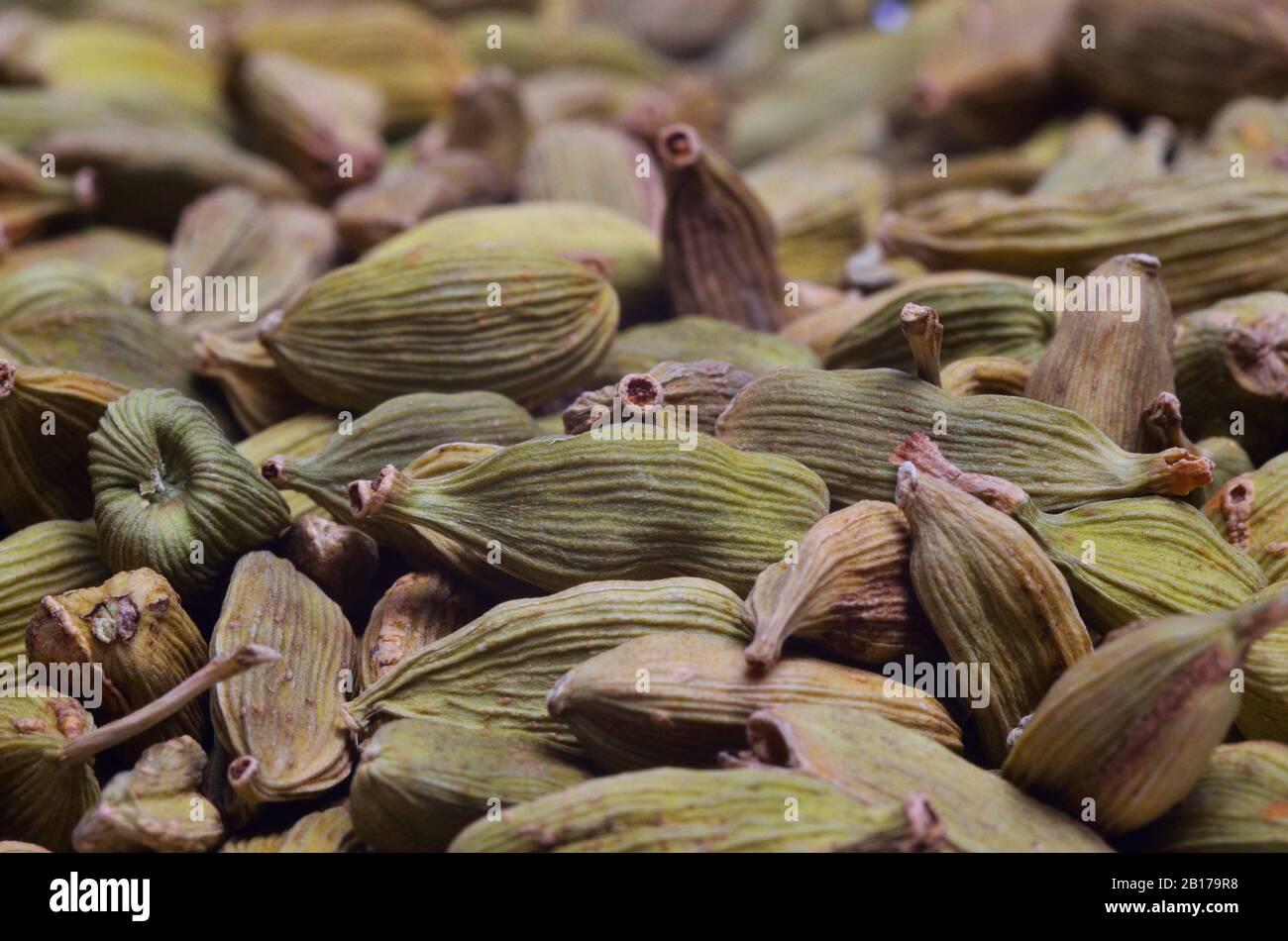 Echte Kardamom (Elettaria cardamomum, Amomum cardamon), getrocknete Hülsen Stockfoto