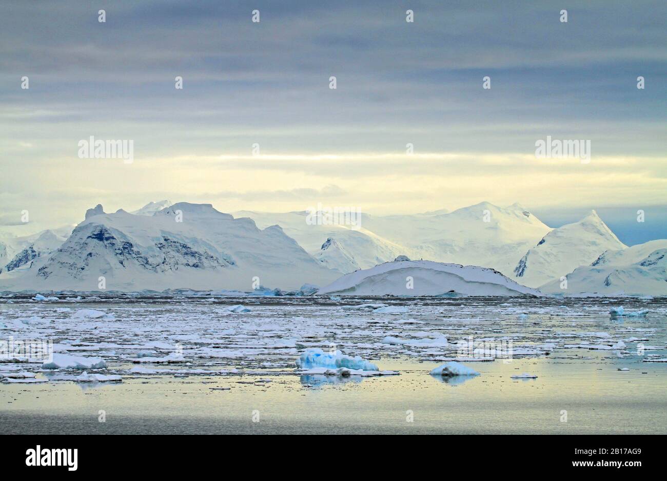 Drift ICE in der Gerlache Strait, Antarktis Stockfoto