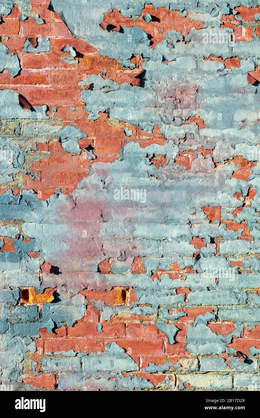 Alte Ziegelwand mit Peeling-Lack, E USA, von James D Coppinger/Dembinsky Photo Assoc Stockfoto