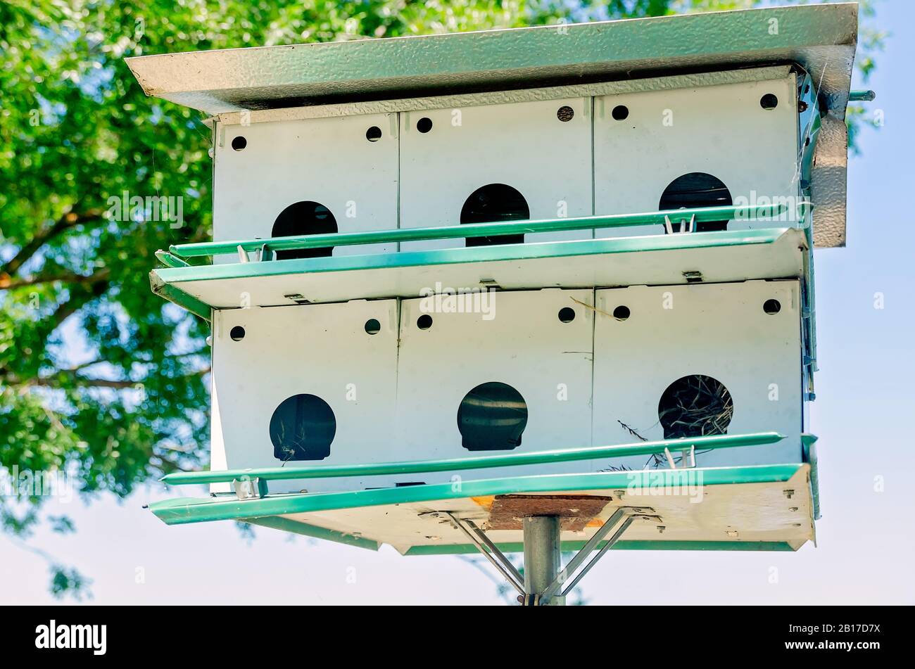 Die Apartments des Purple martin Birdhouse sind mit hervorstehendem Nistmaterial, 26. Juli 2019