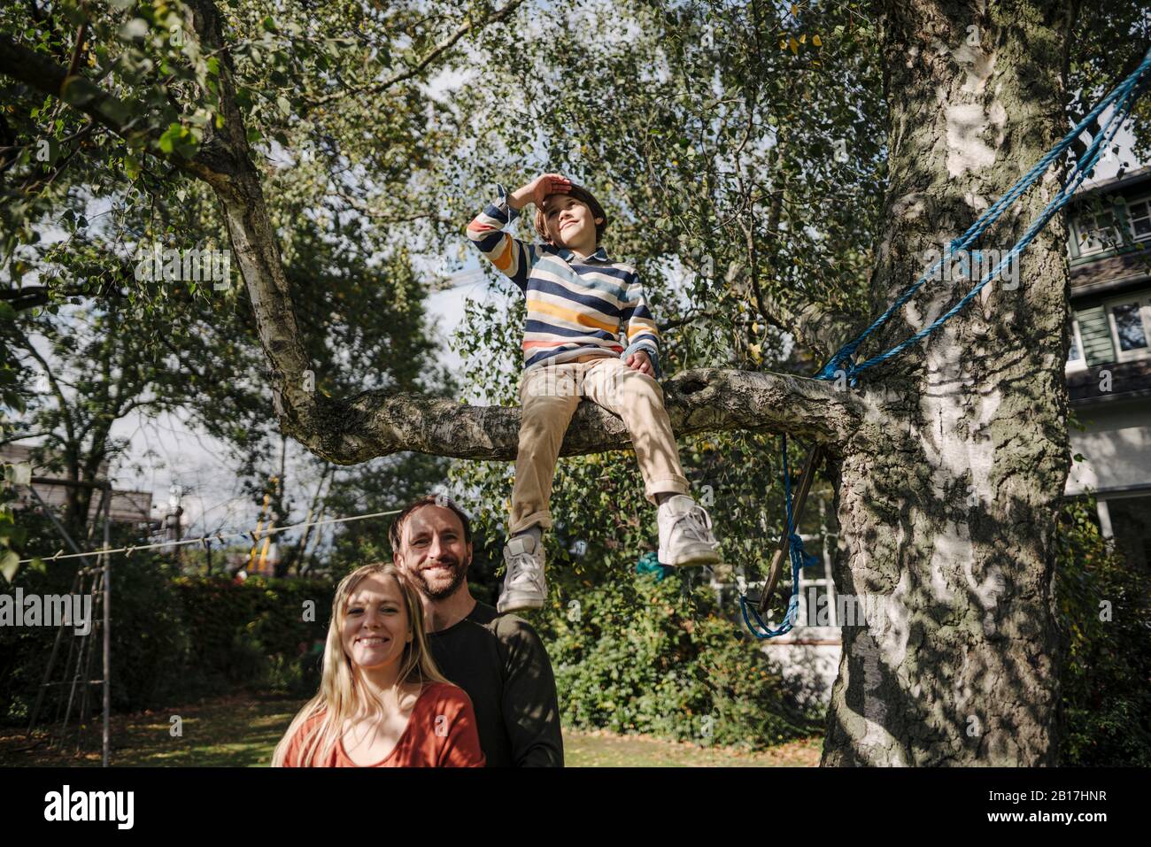 Der Sohn sitzt auf einem Baum im Garten, während die Eltern ihn beobachten Stockfoto