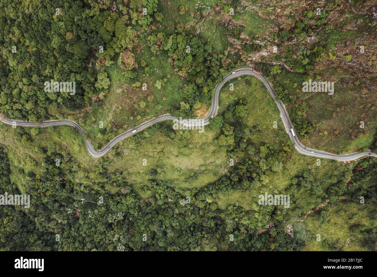 Sri Lanka, Uva Province, Ella, Luftaufnahme der kurvenreichen Straße, umgeben von grünen alpinen Wald Stockfoto