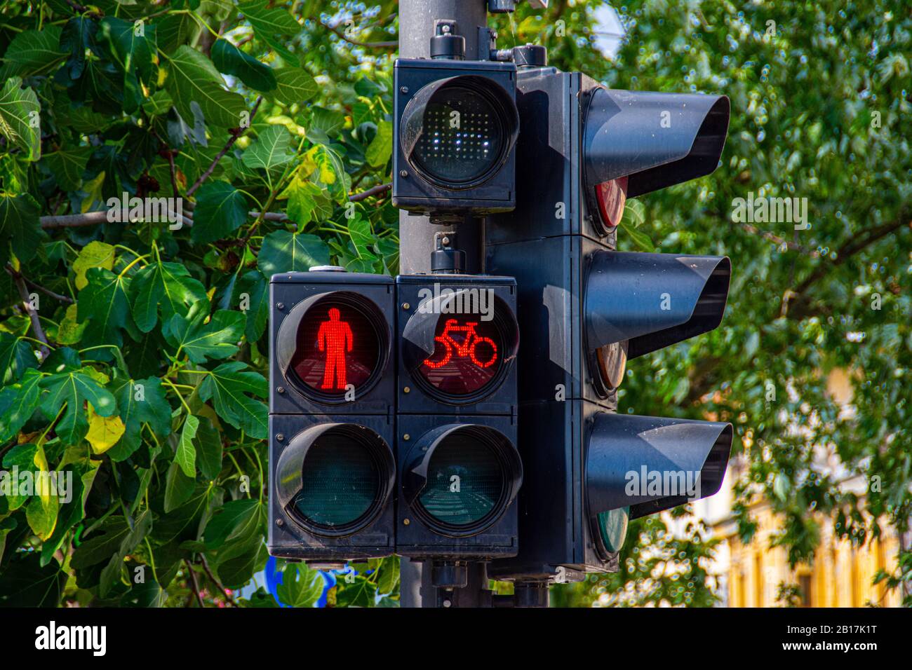 Trafic Light zeigt rotes Licht für Wanderer und Bycles Stockfoto