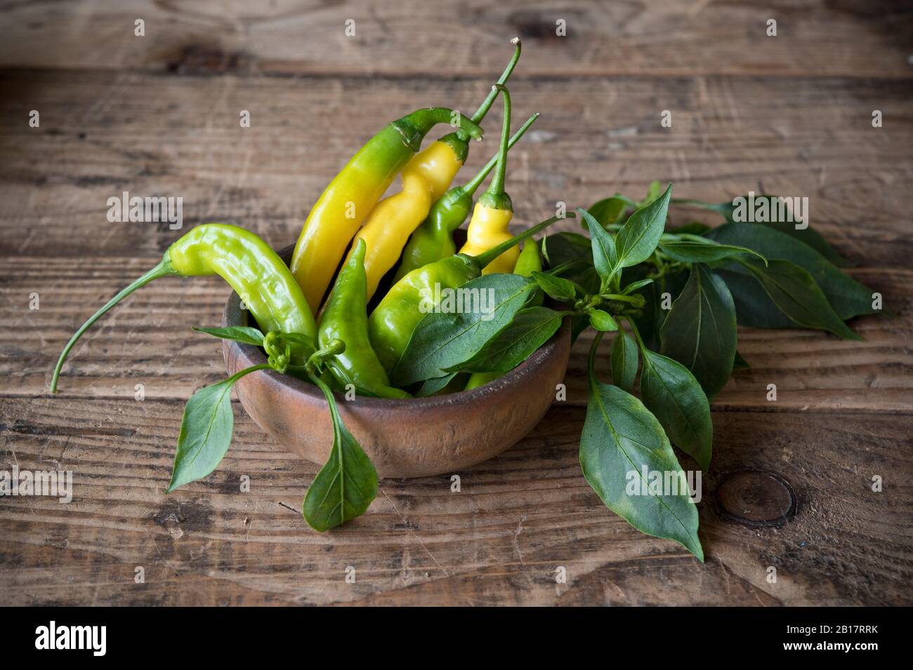 Gelbe und grüne Chilischoten (Paprika), Paprika in Holzschüssel auf dem Tisch Stockfoto