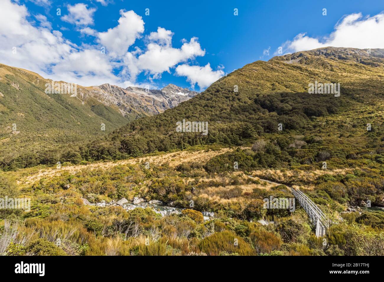 Neuseeland, Selwyn District, Arthurs Pass, Green forested Mountain Valley Stockfoto