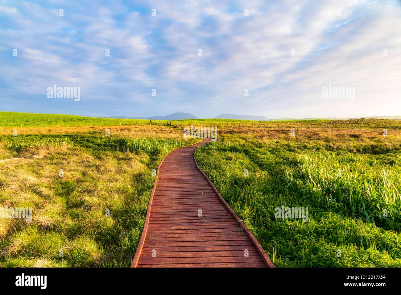 Schottland, Orkney, Festland, Loch of Harray, Naturreservat Boardwalk Stockfoto