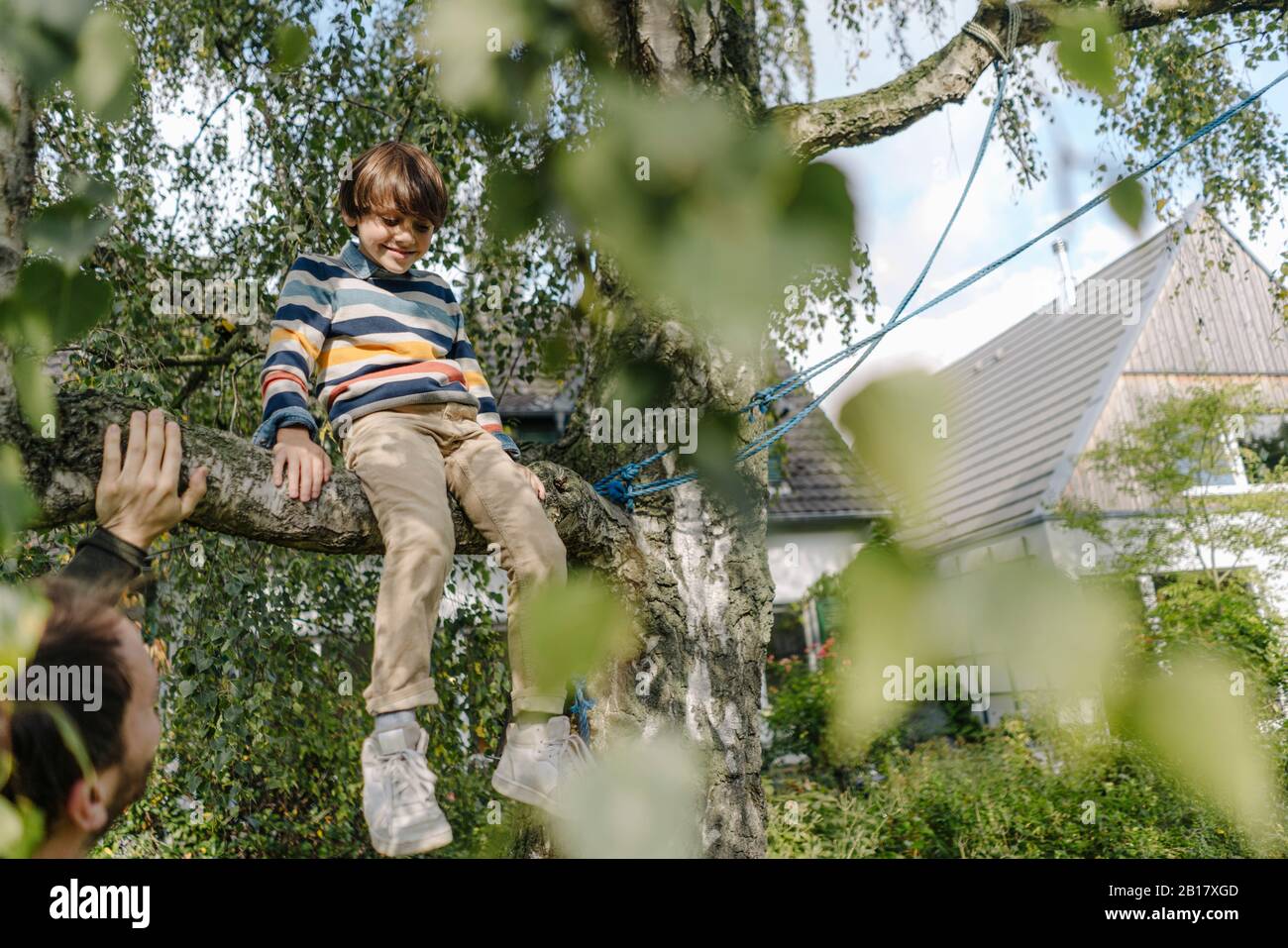 Junge klettern Baum, sitzen auf Ast, Vater beobachten Stockfoto