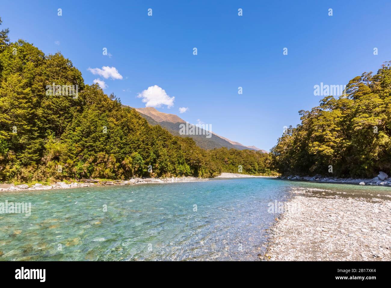 Neuseeland, Queenstown-Lakes District, Makarora, Makarora River im Sommer Stockfoto