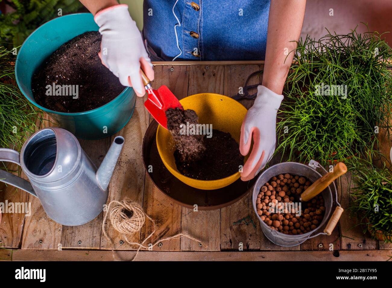 Nahaufnahme der Frau, die Rhipsalis auf ihrer Terrasse abwehrt Stockfoto