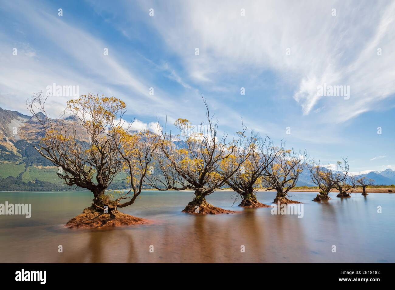 Neuseeland, Ozeanien, Südinsel, Otago, Neuseeland Alpen, Glenorchy, Weidenbäume wachsen im Lake Wakatipu Stockfoto
