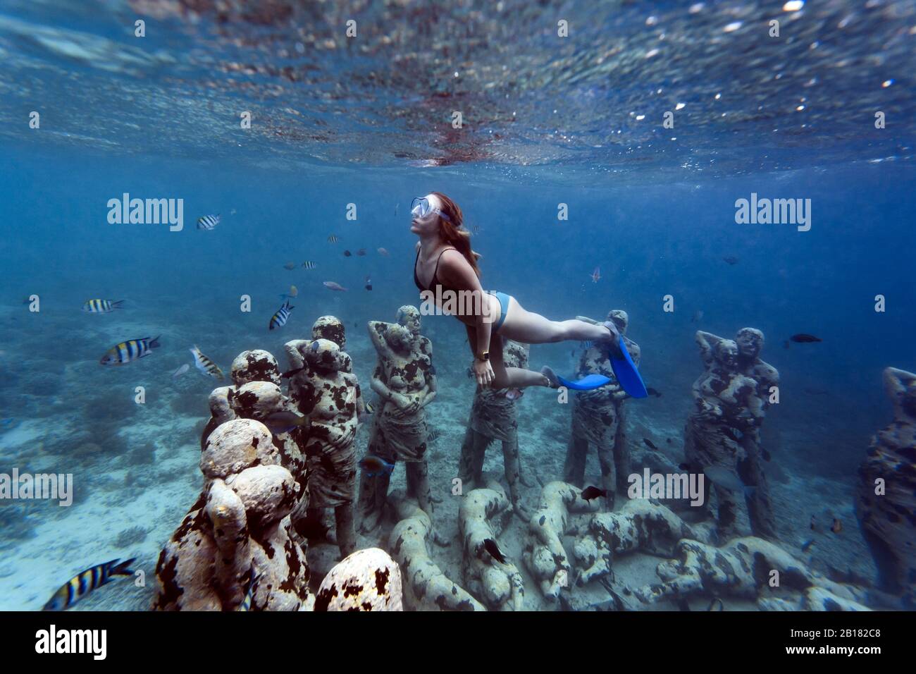 Frau schwimmt in der Nähe von Unterwasser-Skulptur von Jason deCaires Taylor, Gili Meno Insel, Bali, Indonesien Stockfoto
