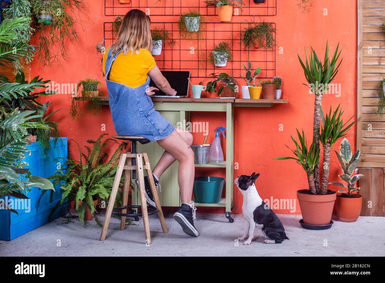 Frau mit Hund auf der Terrasse mit Laptop Stockfoto