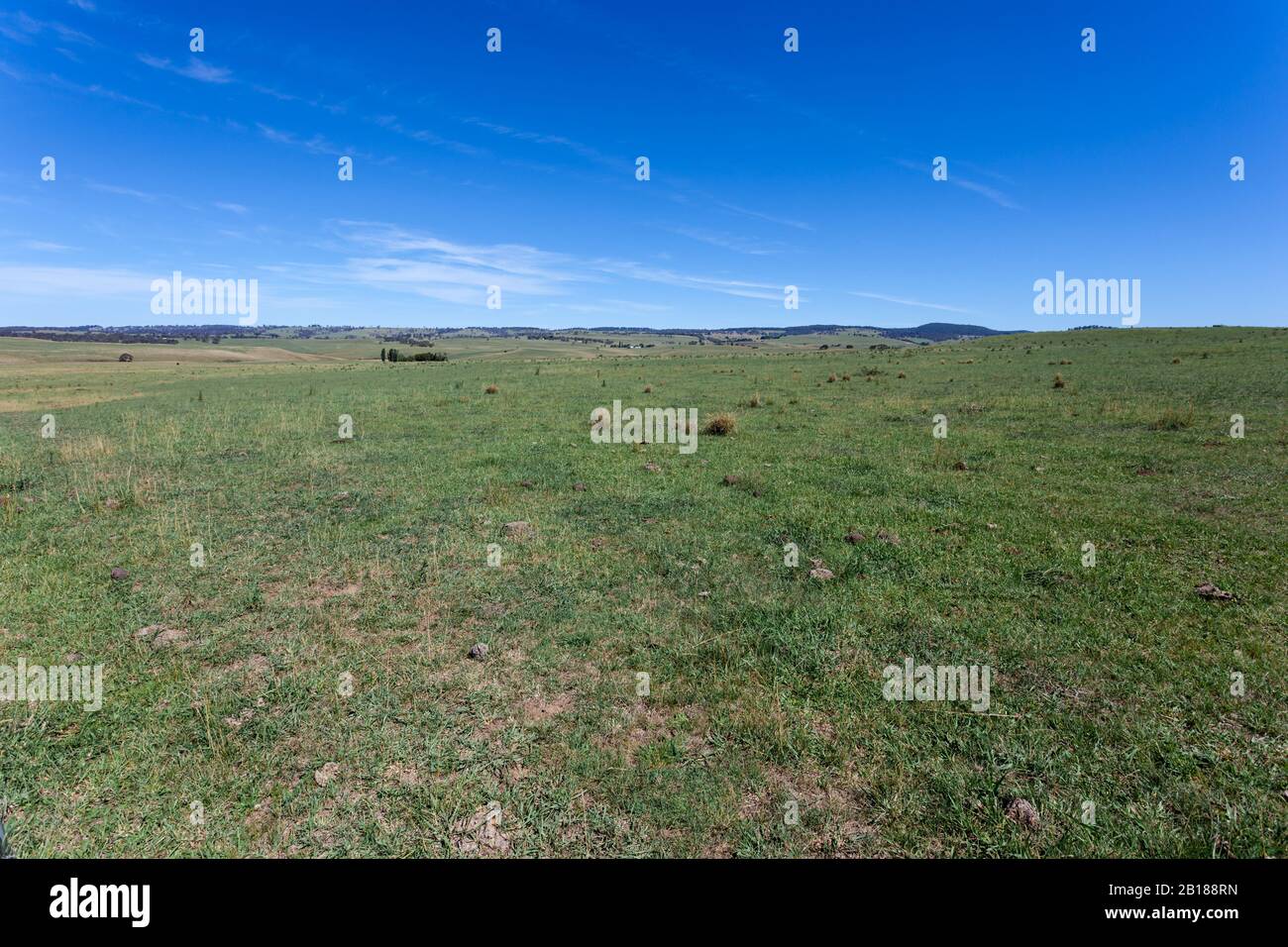 Ländliche Landschaft in der Landschaft von New South Wales bei Yarrowitch östlich von Walcha und Tamworth. Dieses Gebiet in der Region Neuengland hat einige der besten Stockfoto