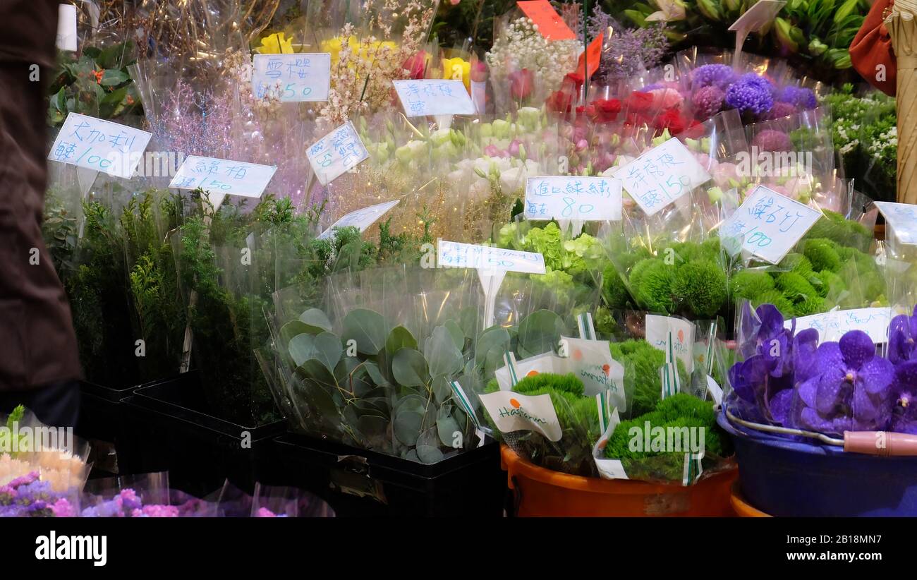 Taipeh, TAIWAN - 07. Dezember 2019: Auf einem Blumenmarkt. Frische Blumen und Pflanzen in separaten Egeln, mit Etiketten chinesischen Namens und Preises. Stockfoto