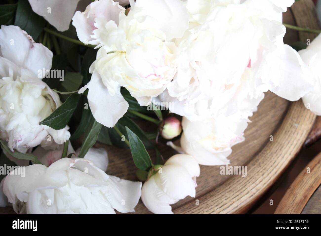 White and Pale Pink Ponies Arrangement Closeup. Frühlingsblumen Hintergrund. Stockfoto