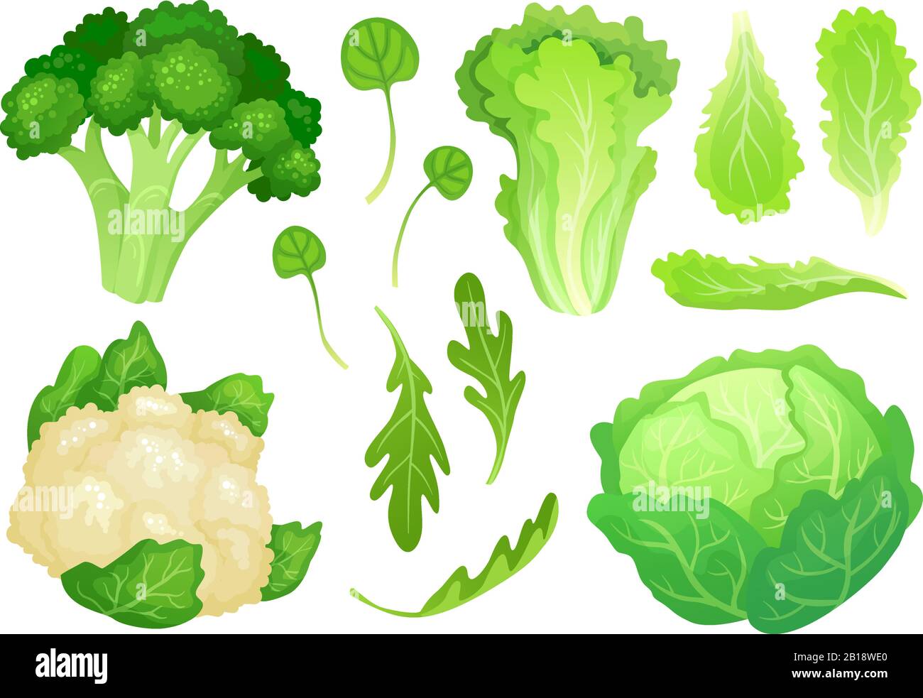 Cartoon Cabbages. Frische Salatblätter, vegetarischer Diätsalat und gesunder Garten-Grünkohl. Vektorgrafiken mit Blumenkohlkopf Stock Vektor