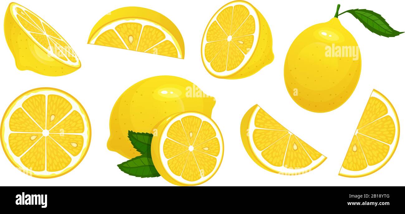 Zitronenscheiben. Frische Zitrusfrüchte, halbgeschnittene Zitronen und gehackte Zitrone isoliert Cartoon Vektor Illustration Set Stock Vektor