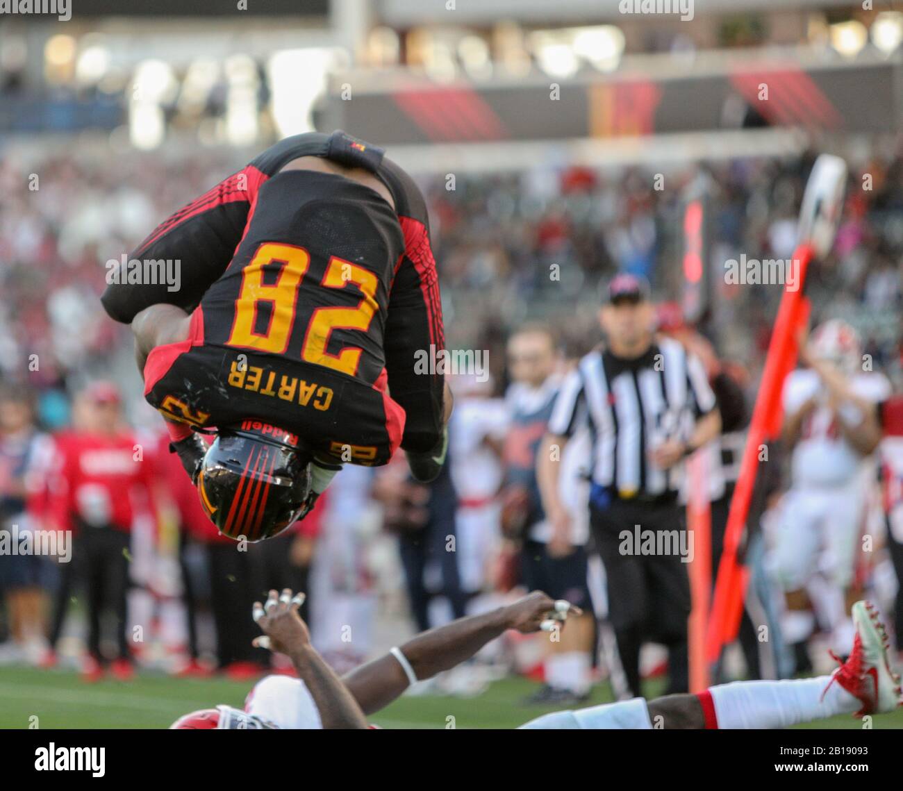 Carson, Kalifornien, USA. Februar 2020. 28 Martez Carter Touchdown während der LA Wildcats gegen DC Defenders am 23. Februar 2020 Credit: Dalton Hamm/ZUMA Wire/Alamy Live News Stockfoto